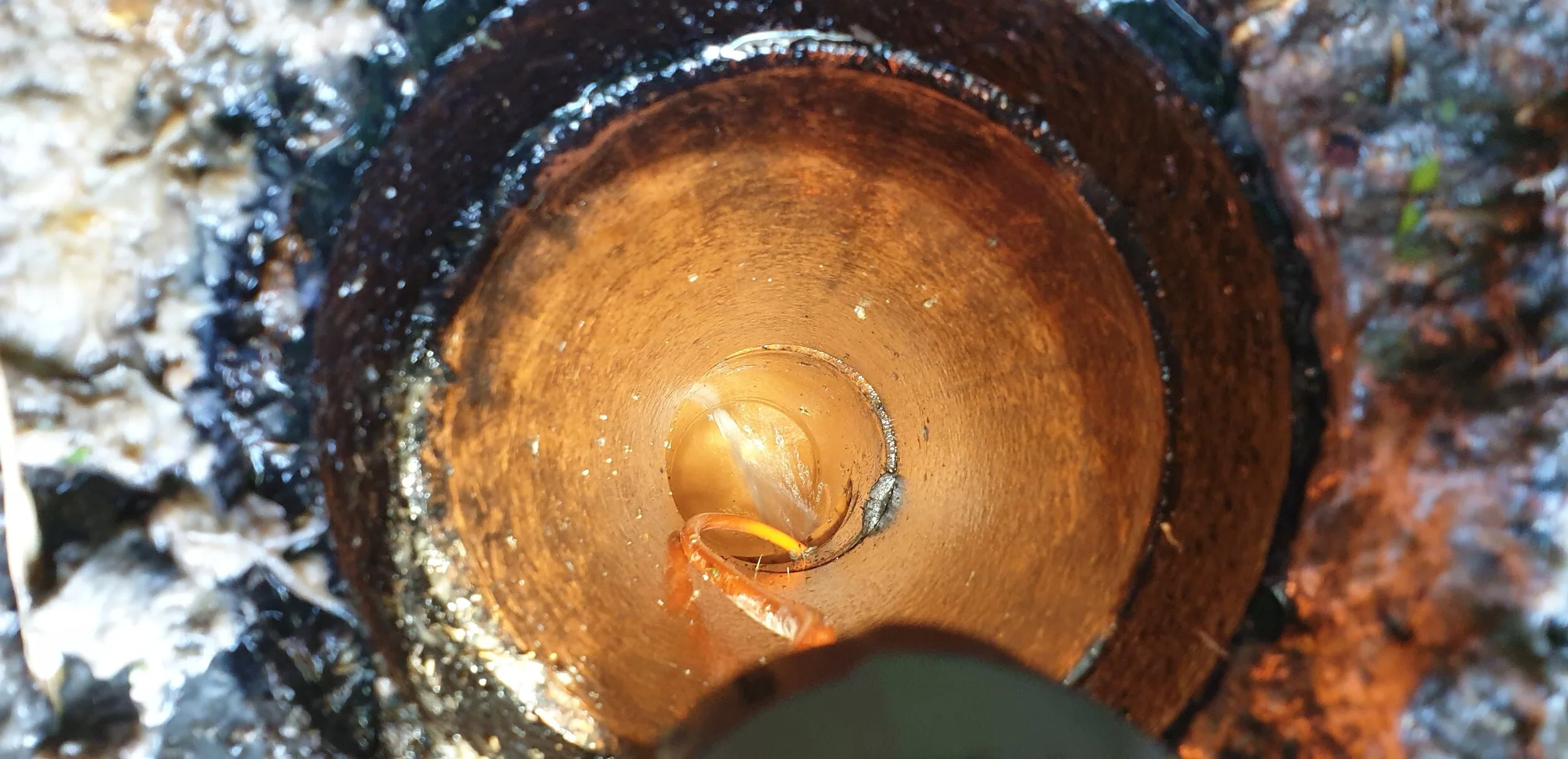 Liquid Plumbing Co plumbing job in Sydney